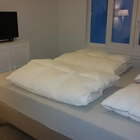 公寓 Lounge Zeedijk 奥斯滕德